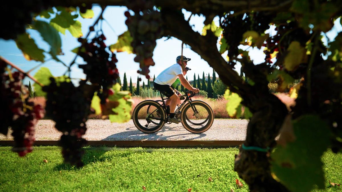 Ciclovia del Mincio in bici: da Peschiera del Garda a Borghetto