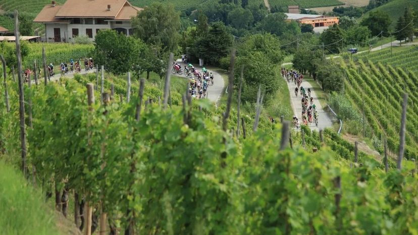 percorso Granfondo Bra Bra