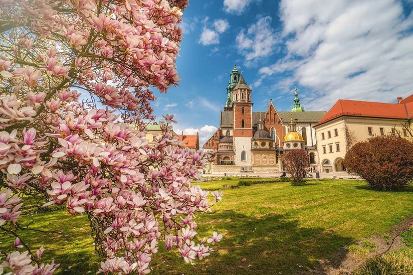 Małopolska in bicicletta (e non solo): natura, cultura e sport su due ruote