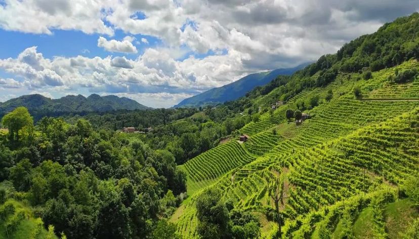 Paesaggio colline Prosecco, veneto
