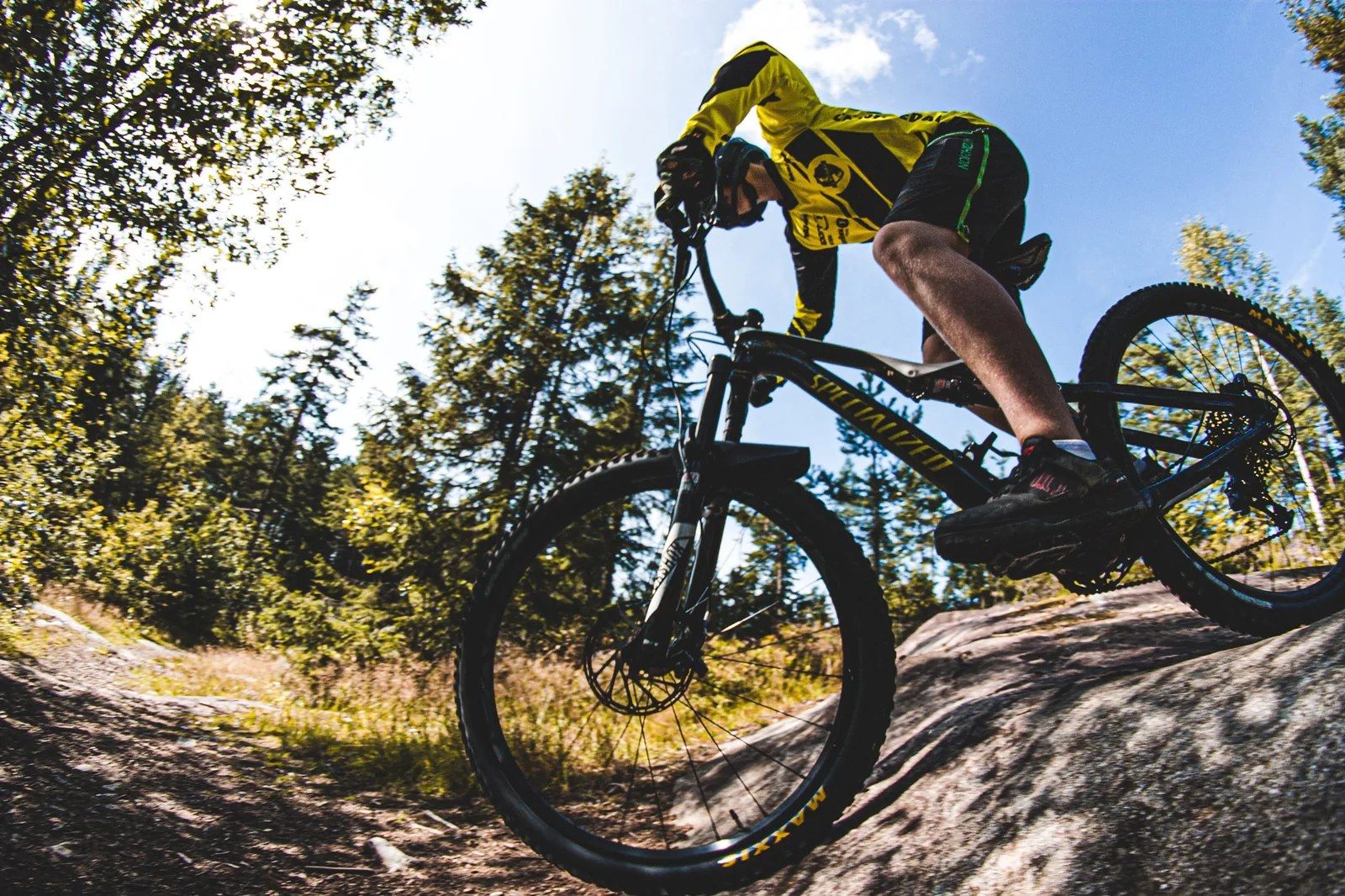 MTB - l'importanza del rinforzo muscolare