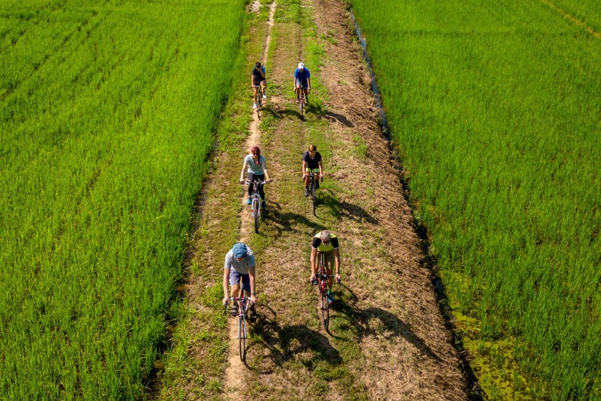 Piemonte in bici: le Terre dell'Alto Piemonte tra risaie, vigne e vette alpine