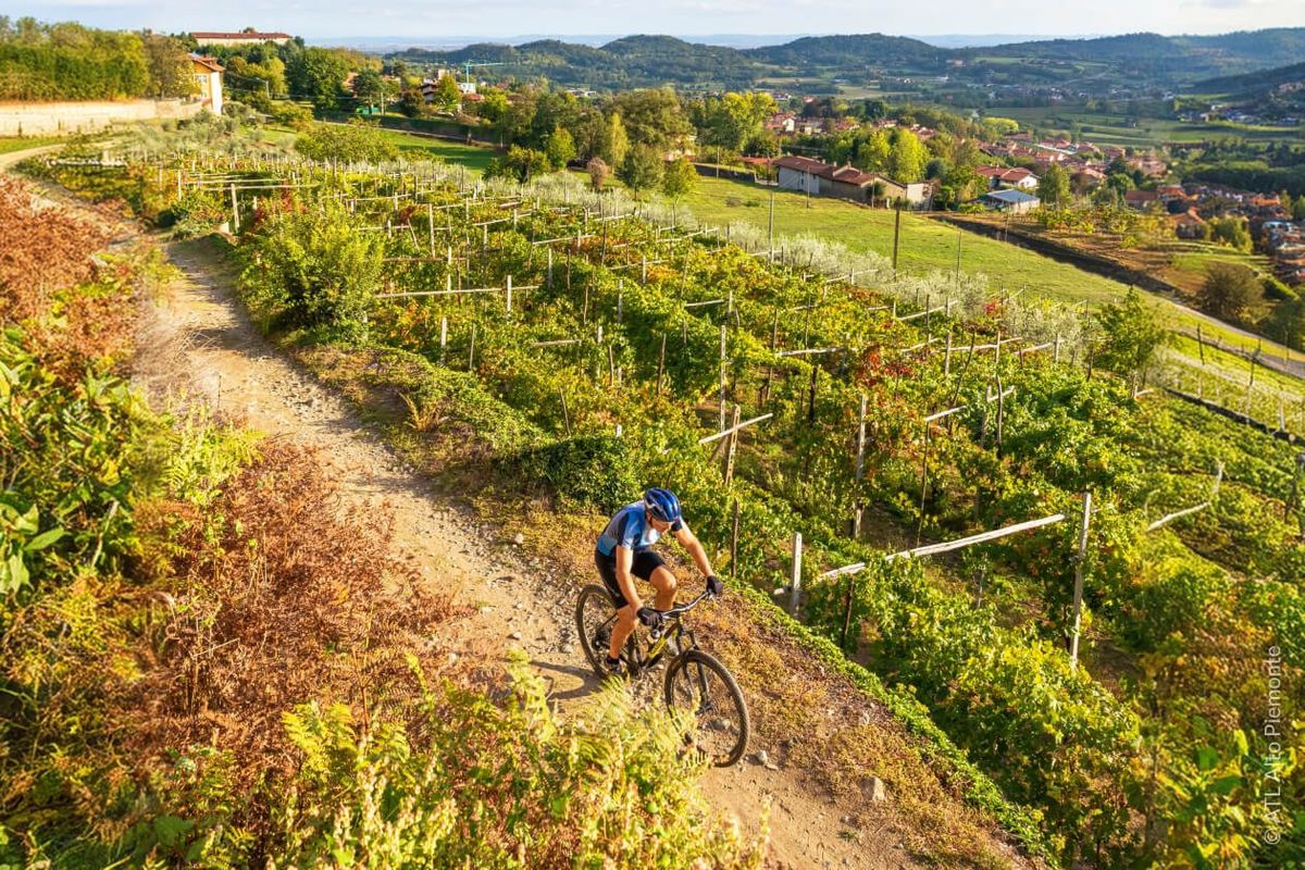 Biker in mountain bike su un sentiero sterrato che costeggia i vigneti terrazzati dell Alto Piemonte