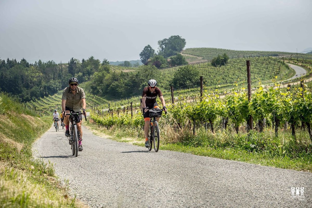 Ciclisti su strada pedalano tra i vigneti collinari del Monferrato