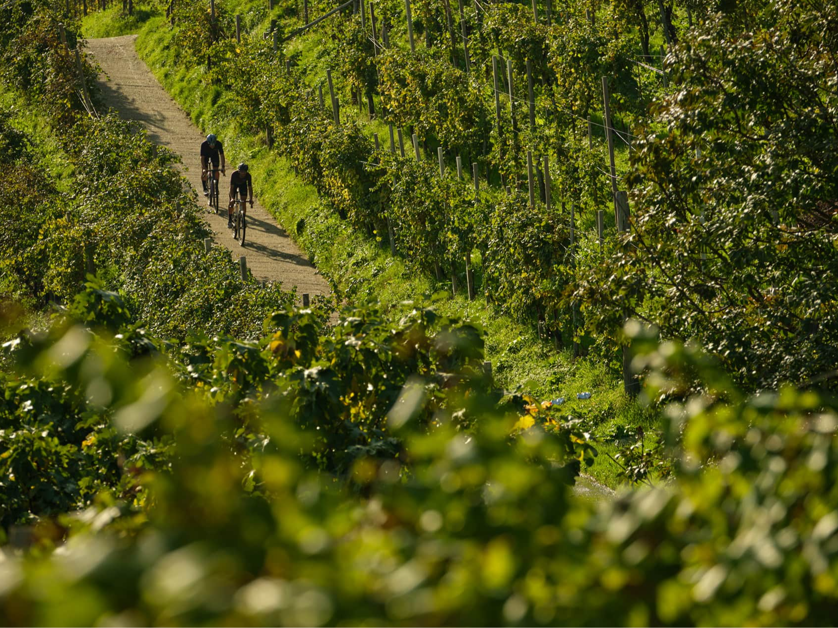 THE HILLS gravel race - image 4 of the gallery