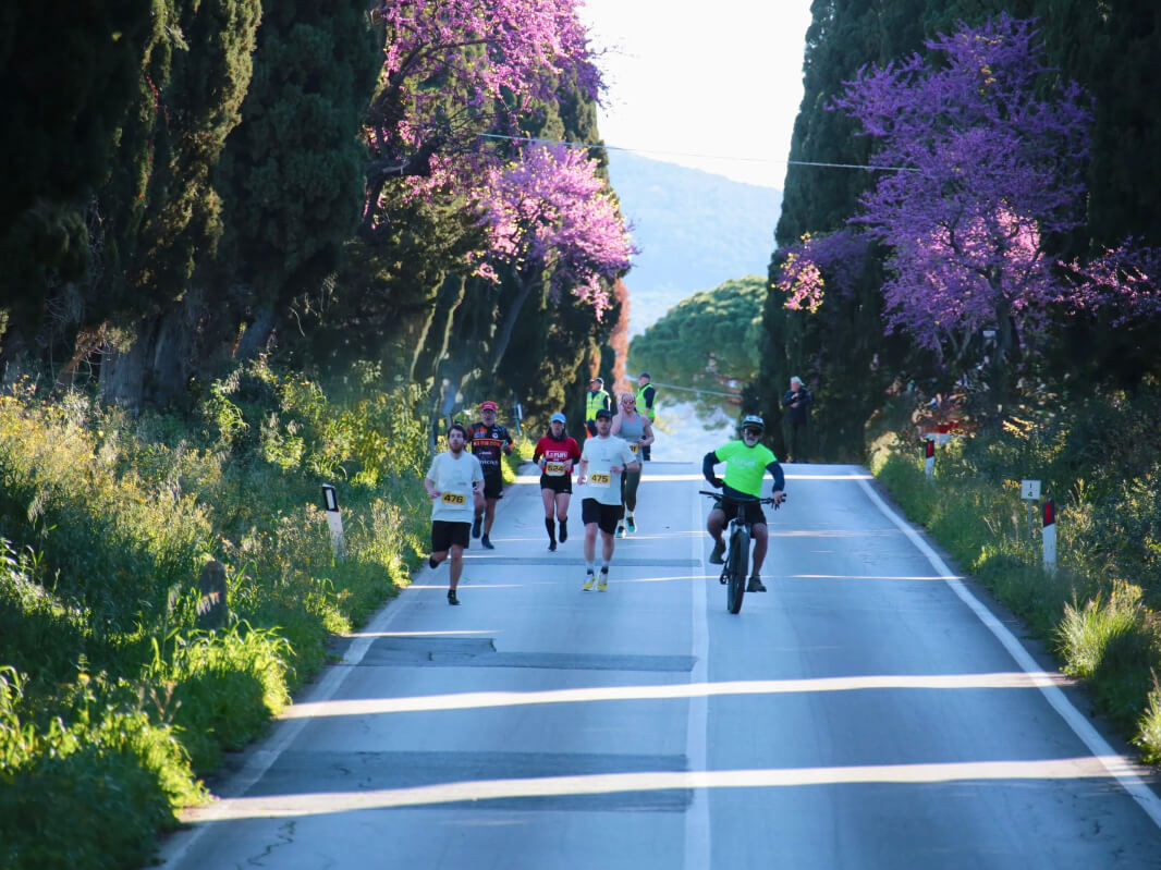 Bolgheri Run - image 2 of the gallery