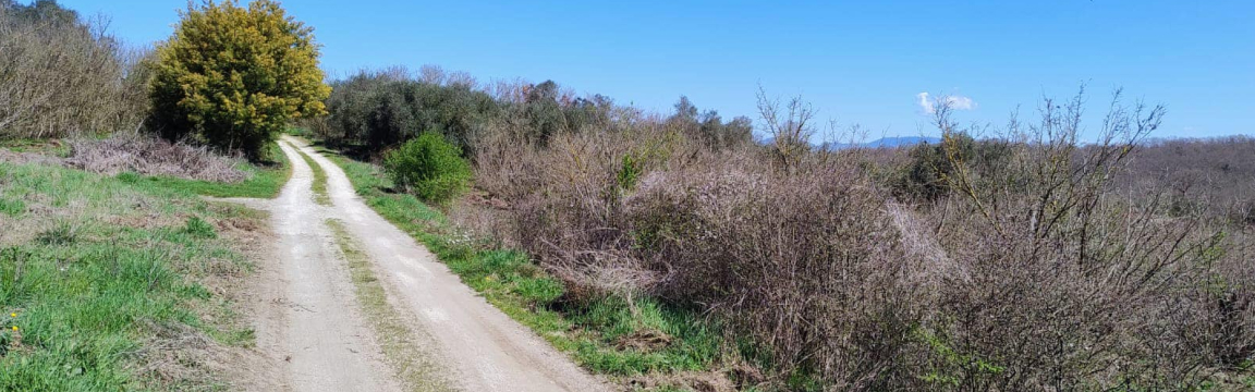 Granfondo MTB Tre Castelli - Città di Faleria