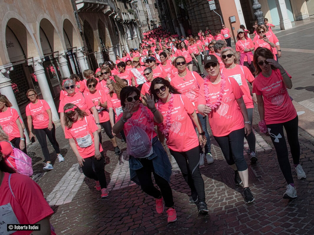 Treviso in Rosa - image 3 of the gallery