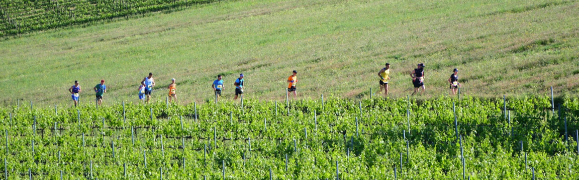 Chianti Classico Marathon