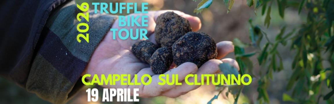 Truffle Bike Tour
