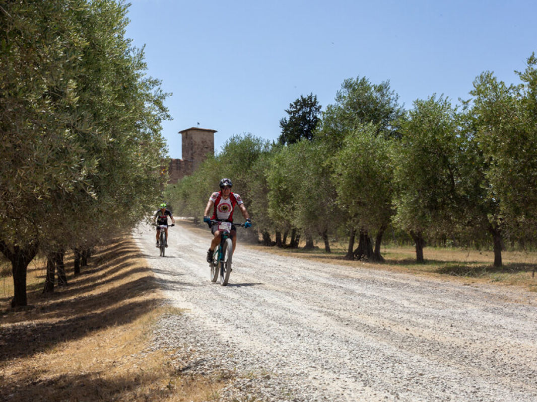 Chianti Down Country - image 2 of the gallery
