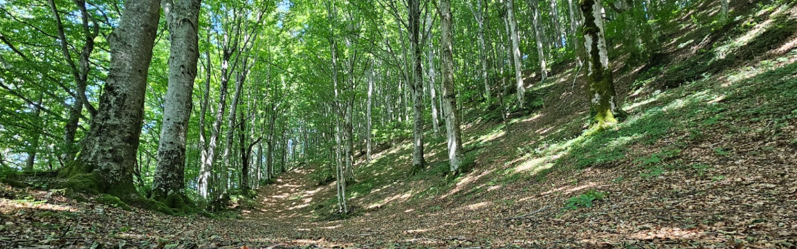 Romagna Selvaggia Gravel
