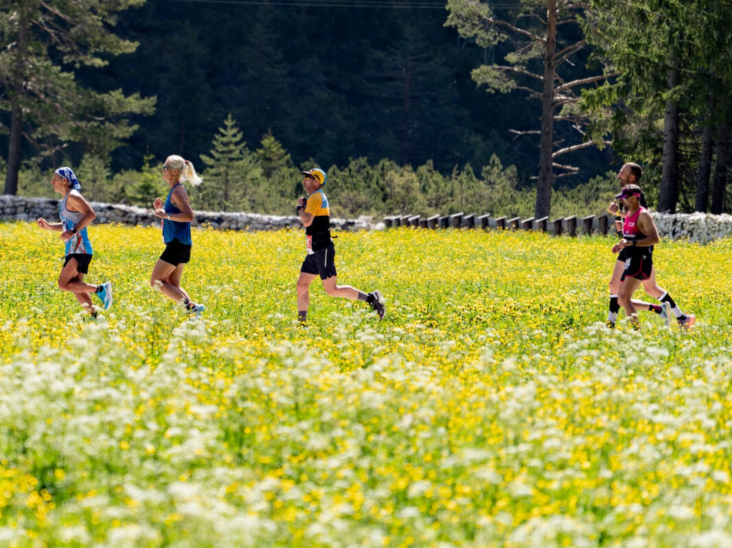 Cortina Dobbiaco Run - image 4 of the gallery