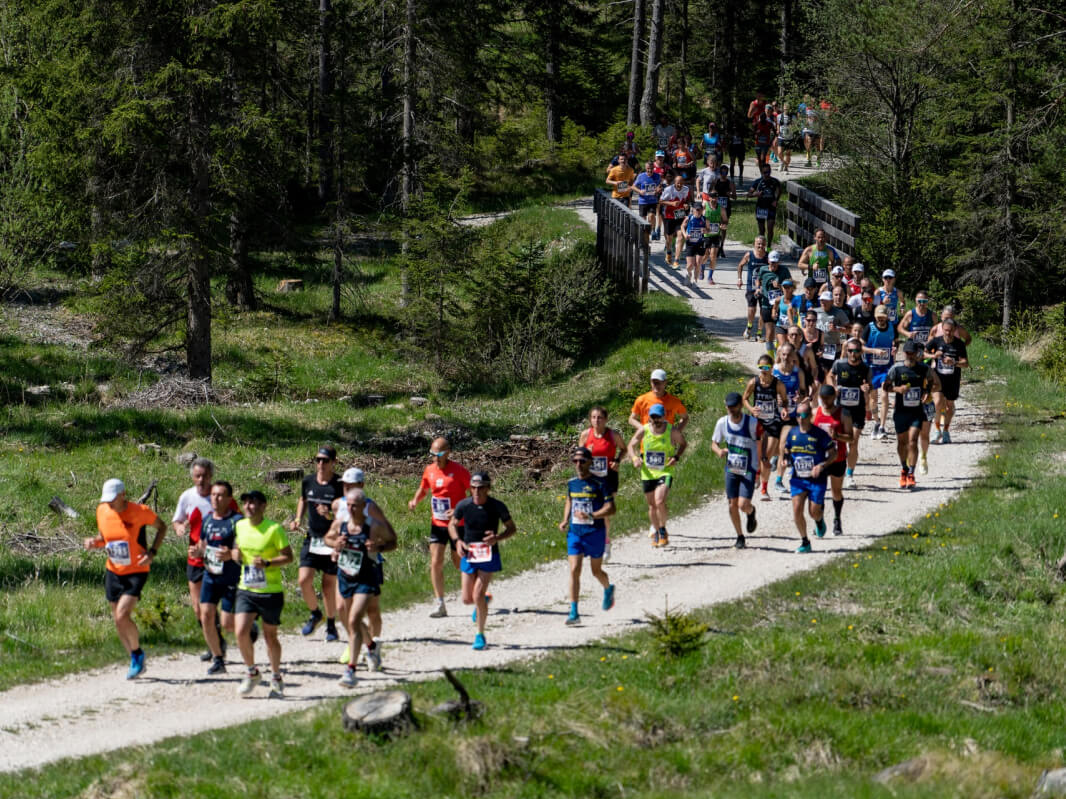 Cortina Dobbiaco Run - image 3 of the gallery