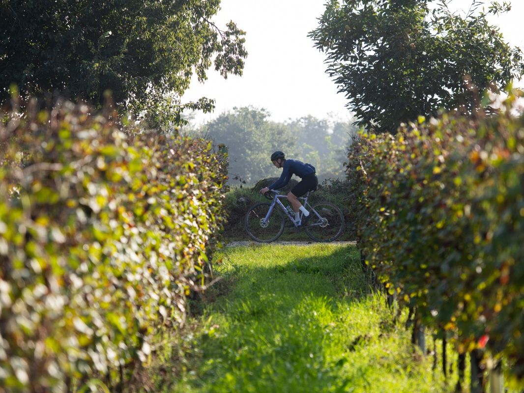 Strade Brute - Franciacorta Gravel - image 1 of the gallery