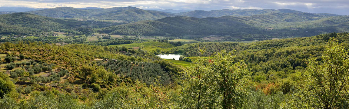 Valdambra Trail