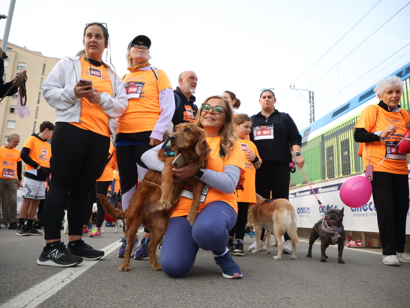 Meda Urban Race - image 4 of the gallery