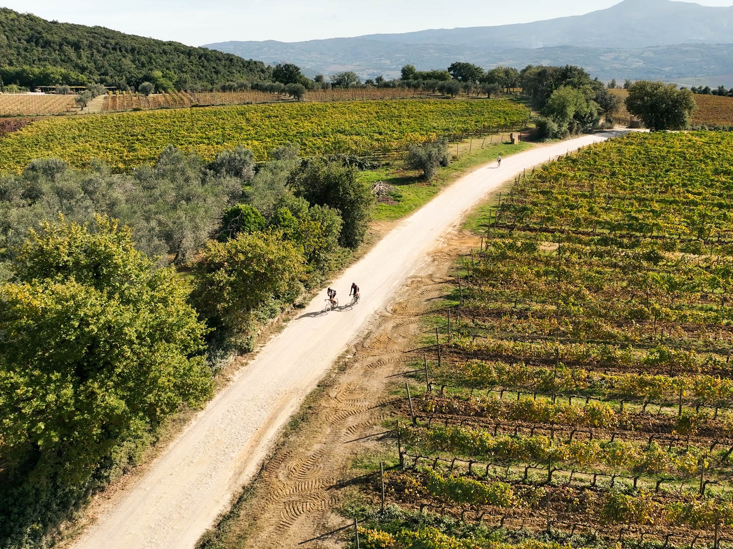 Val D'Orcia Gravel - image 1 of the gallery