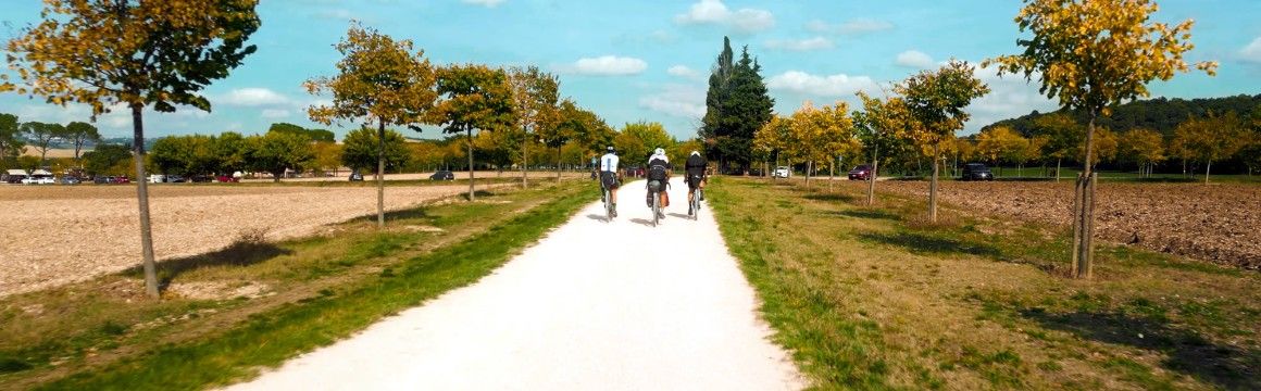 Marche Trail