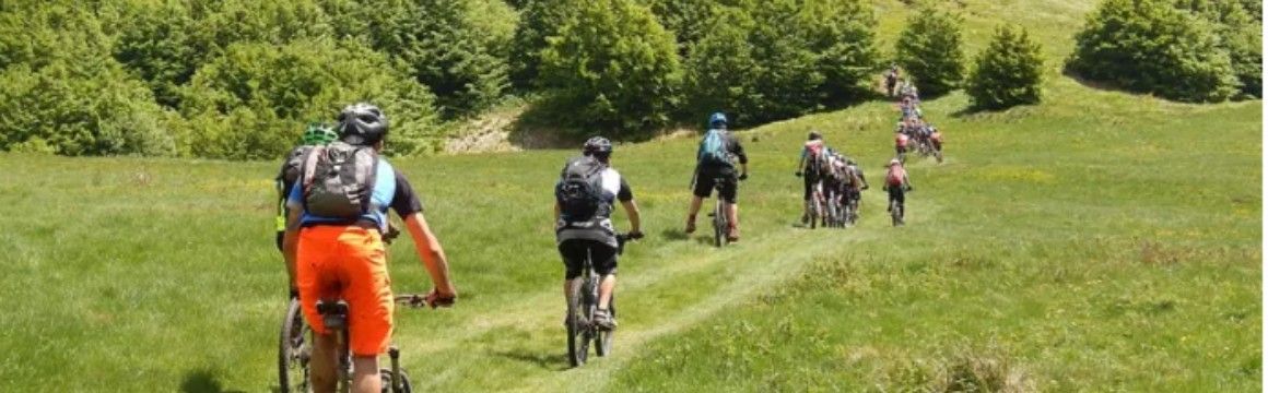 Natural Bike MTB