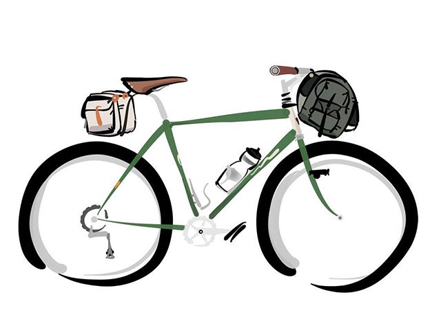 100% Gatto Gravel - image 1 of the gallery