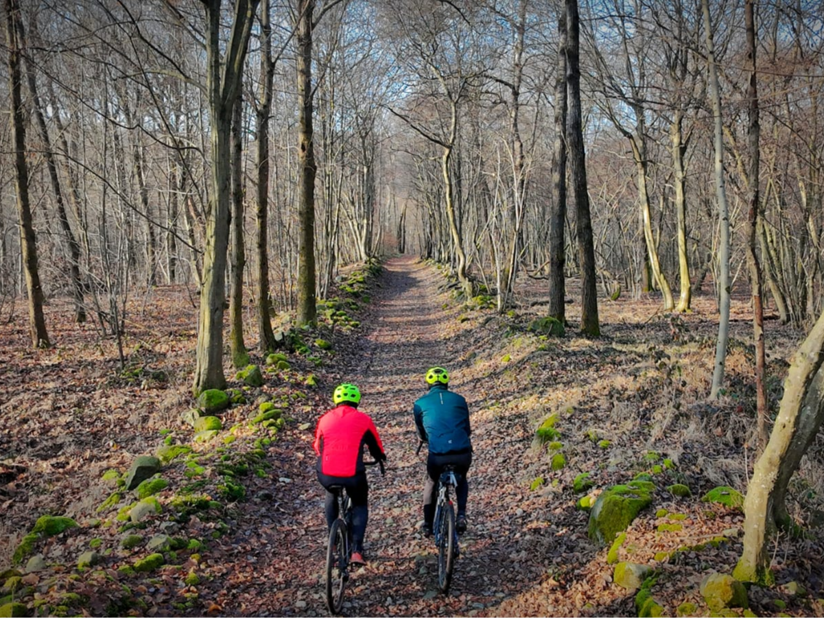 100% Gatto Gravel - image 6 of the gallery