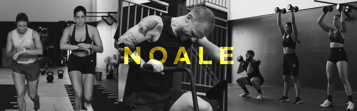 HYBRID RACE - Noale