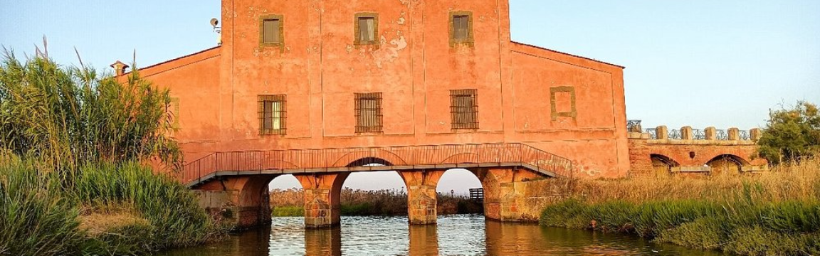 La Francigena e le Vie Etrusche della Maremma