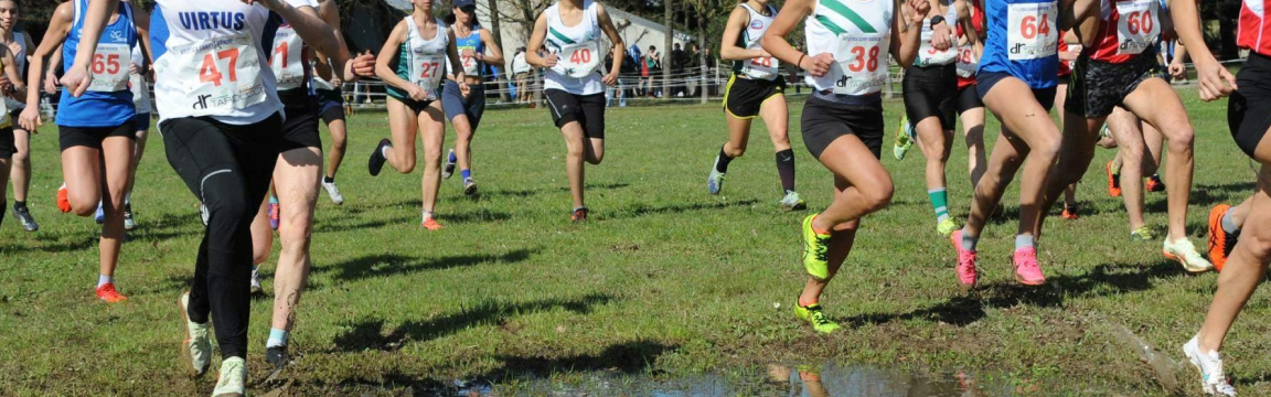 Campionato Regionale di Cross