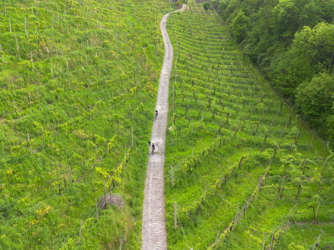 Nova Eroica Prosecco Hills - image 3 of the gallery