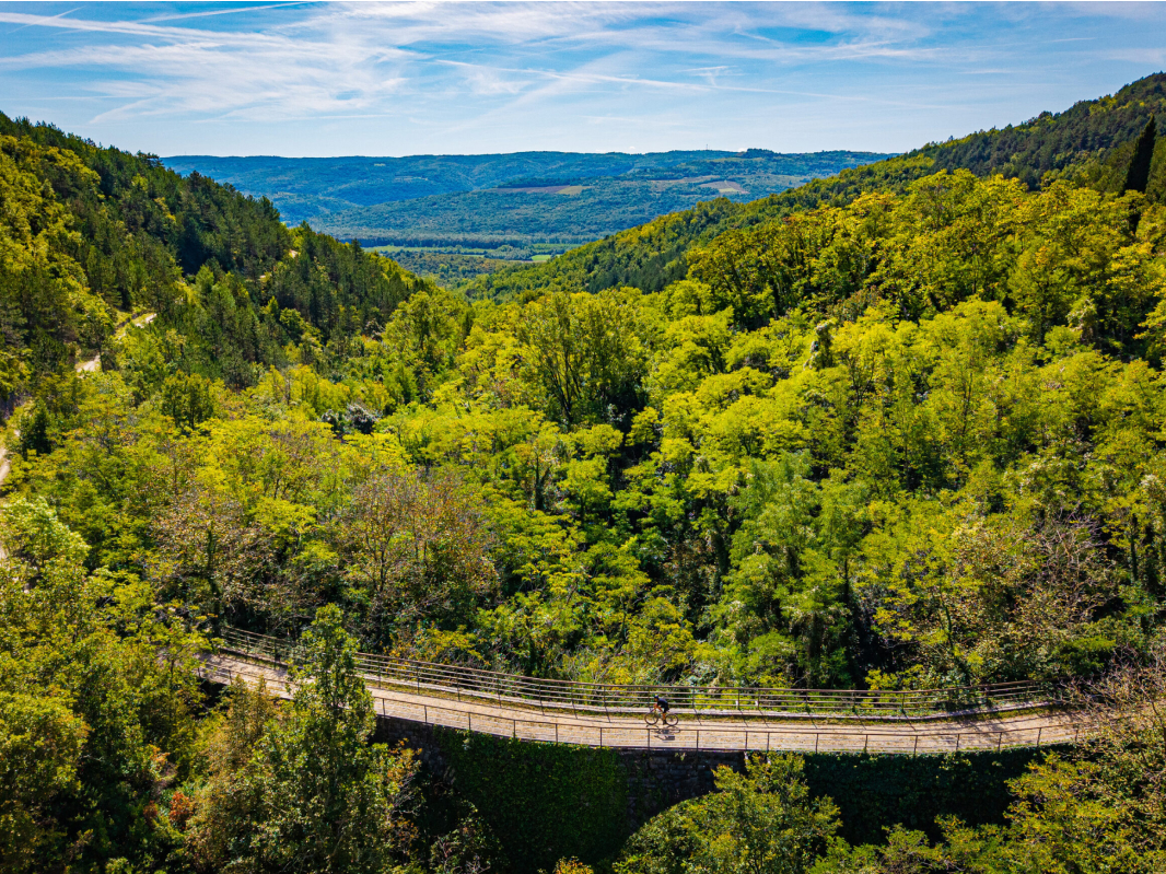 Nova Eroica Istria - image 1 of the gallery