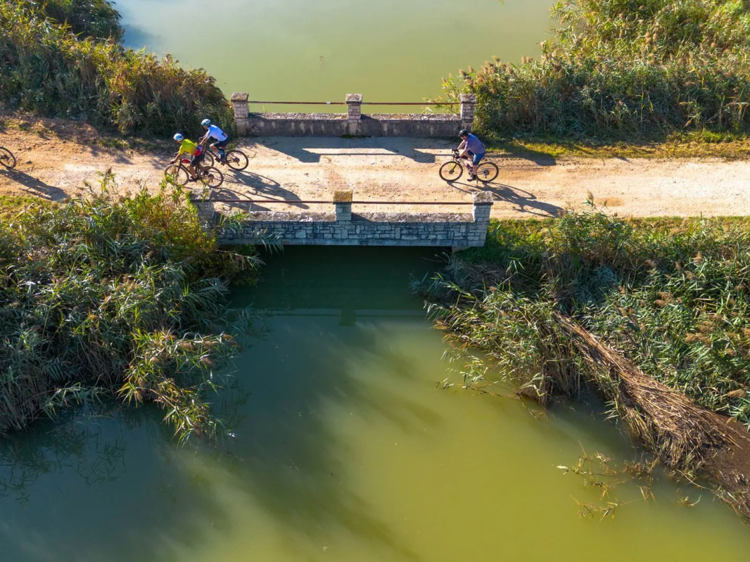 Nova Eroica Istria - image 2 of the gallery