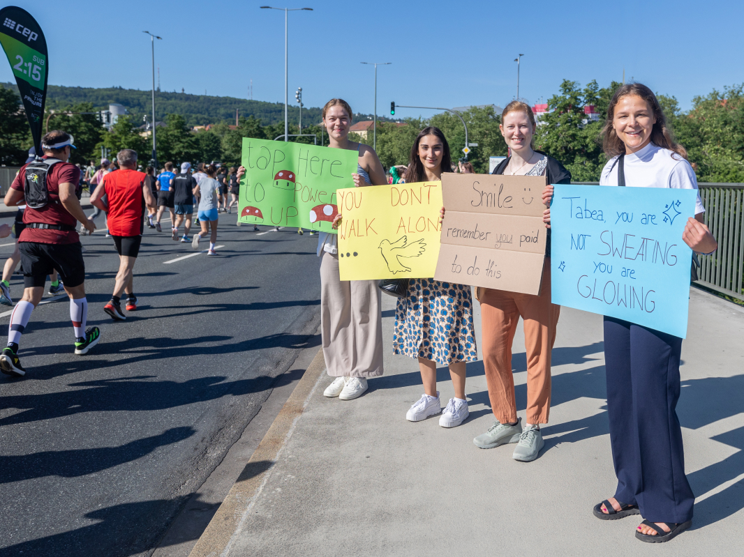 WVV Marathon Würzburg - immagine 4 della galleria