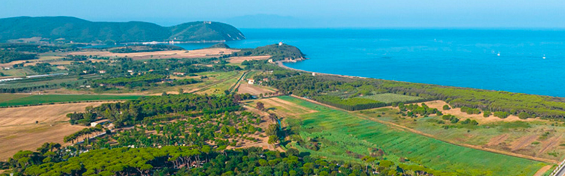 Swimtheisland San Vincenzo