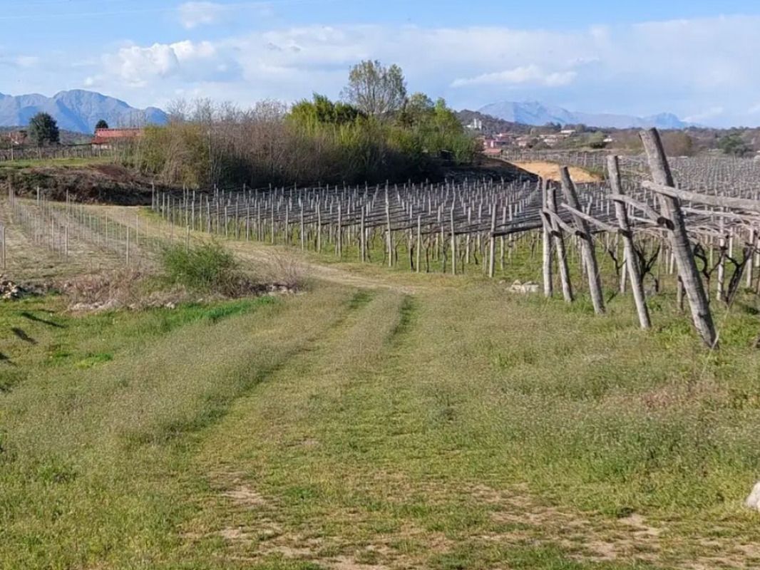 Canavesando Gravel - Sulle Orme di Francesco - image 5 of the gallery