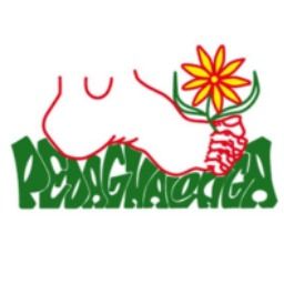 Pedagnalonga