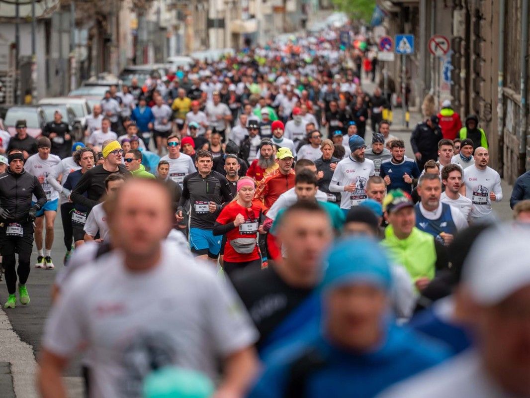 Powerade Belgrade Marathon - image 4 of the gallery