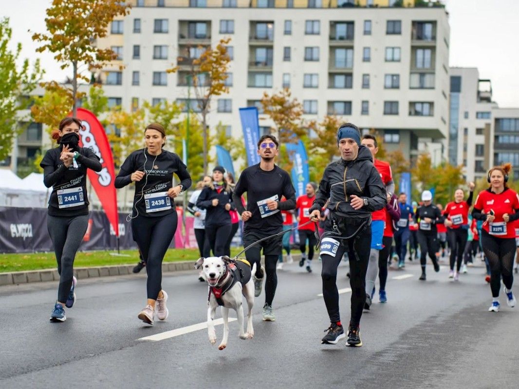 Brasov Running Festival - image 1 of the gallery