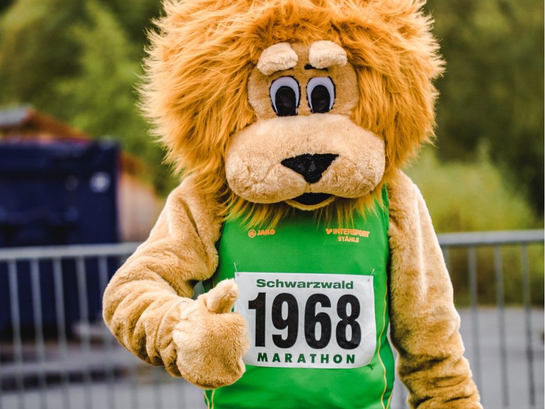 LSG Schwarzwald-Marathon e.V. - immagine 2 della galleria