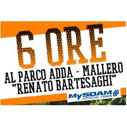 6 Ore al Parco Bartesaghi