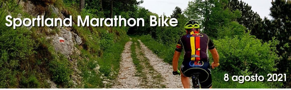 Sportland Marathon Bike