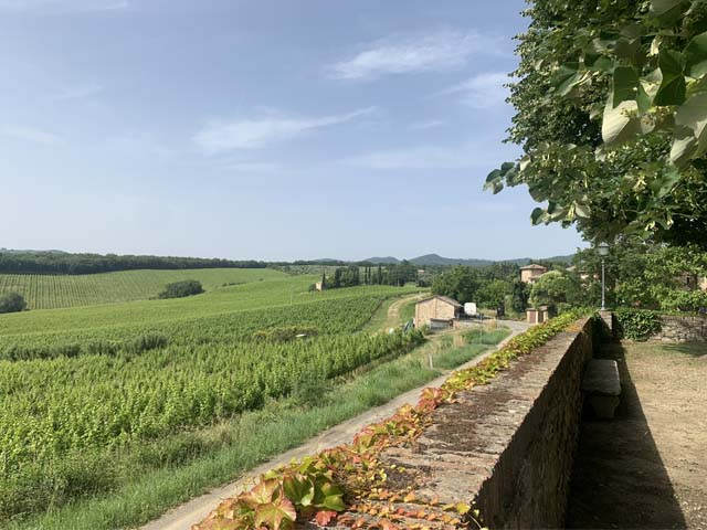 Ecomaratona Del Chianti Classico - image 6 of the gallery