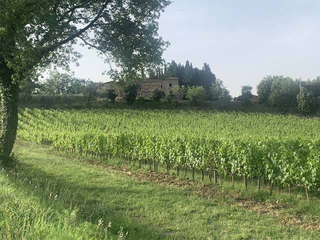 Ecomaratona Del Chianti Classico - image 2 of the gallery