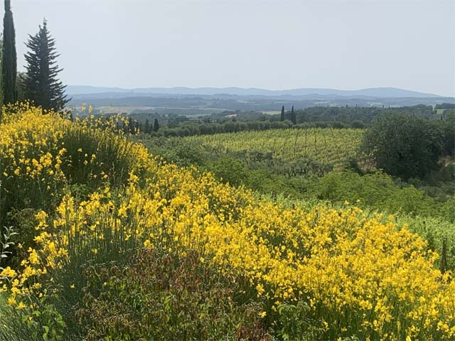 Ecomaratona Del Chianti Classico - image 5 of the gallery