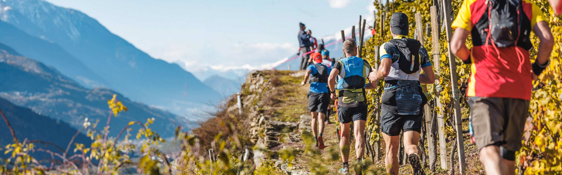 Valtellina Wine Trail