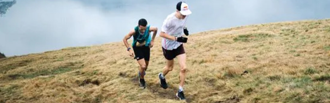 Cardada Trail
