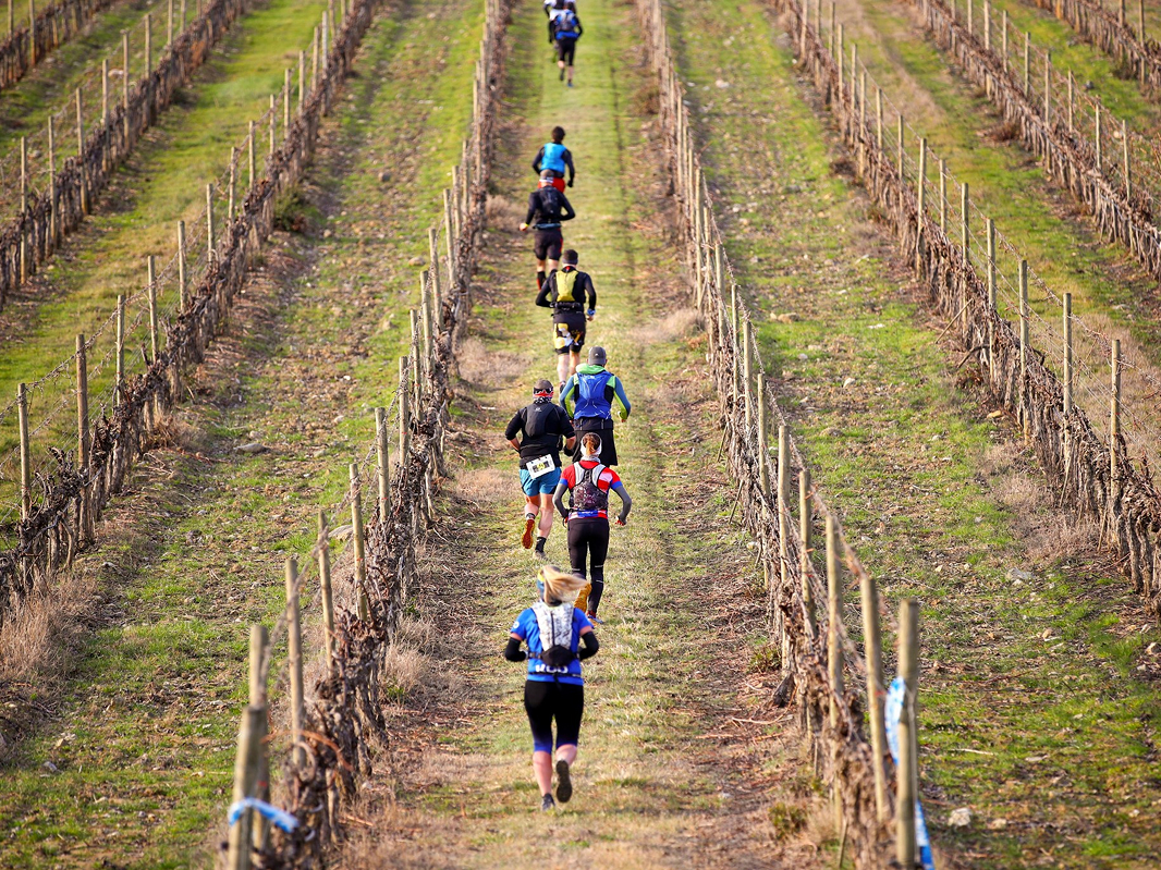 Brunello Crossing - image 1 of the gallery
